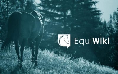 Branding EquiWiki – Coordination de la création de la marque, du logo et de l’identité visuelle