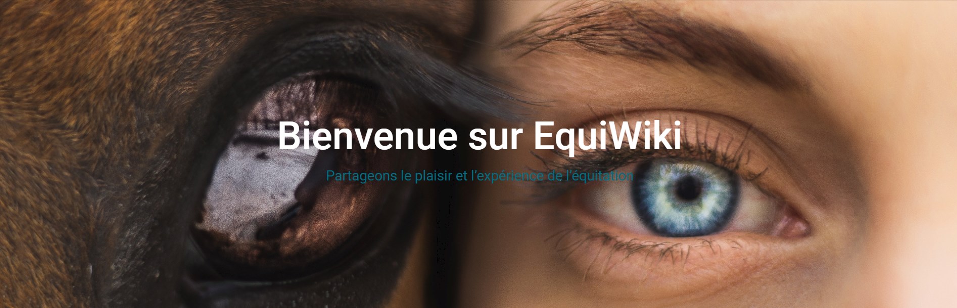 example bannière Equiwiki - Partage équitation (2020-04-22) - identité de marque créée par DailyBooster