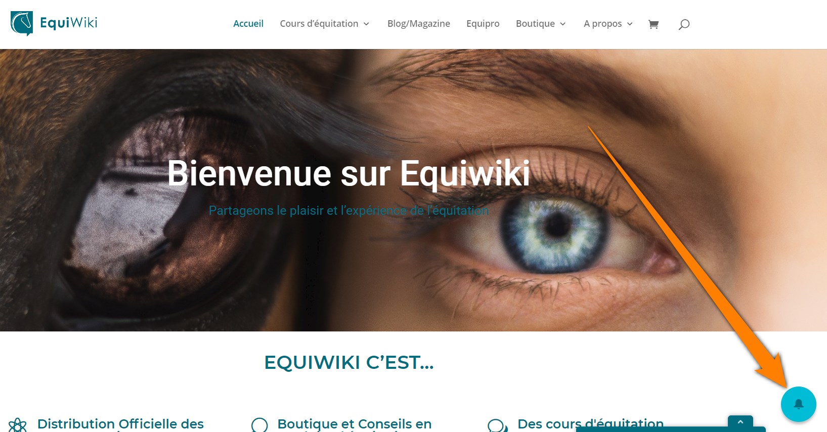 solution notification wisp installée sur Equiwiki, site d'équitation - screenshot homepage (2020-05-03, Equiwiki.ch)
